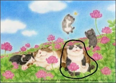 Comment s'appelle le nouveau chat sur cette image ?