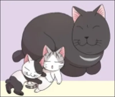 Comment s'appellent ces chats ?