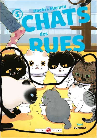 Comment s'appellent ces nouveaux chats ?