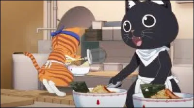 Comment s'appellent ces chats ?