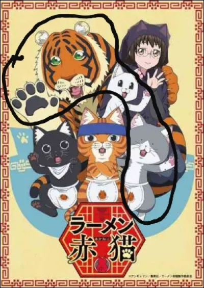 Comment s'appellent ces nouveaux chats ?