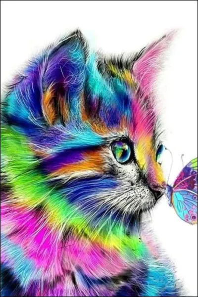 Quel pelage est ton favori ?