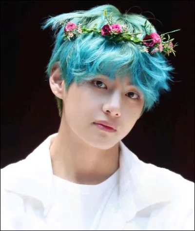 Quel est le nom de scène de Taehyung ?