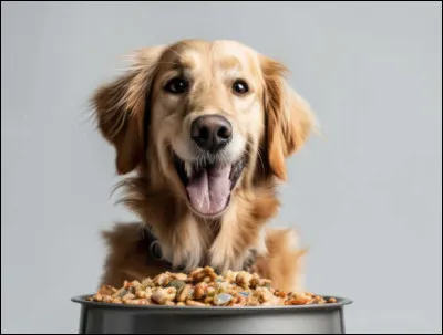 Quelle friandise est idéale pour un chien ?
