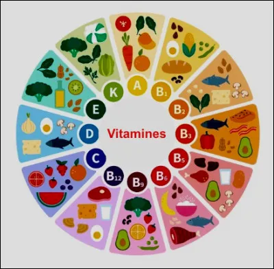 Quelle vitamine est essentielle pour les chiens et les chats ?