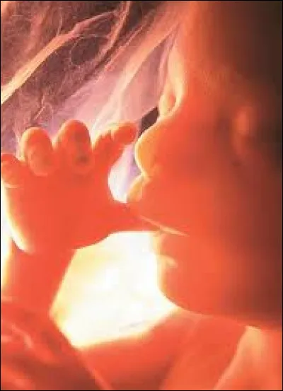 Qu'est-ce qu'un bébé né coiffé ?