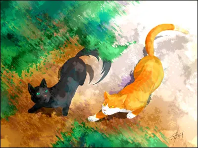 Et le second camp, où se situe-t-il ? (Celui sur le nouveau territoire.)