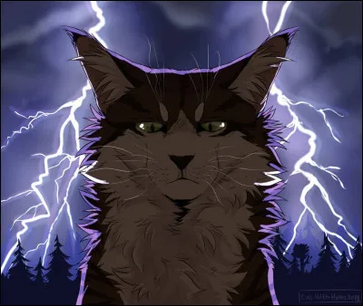 Et qui fut le premier lieutenant ?