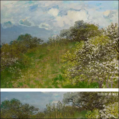 Quelle est votre saison préférée ?