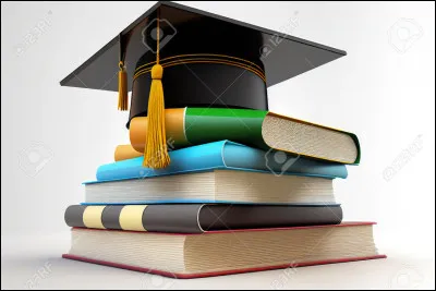 Les cours sont généralement individuels dans :