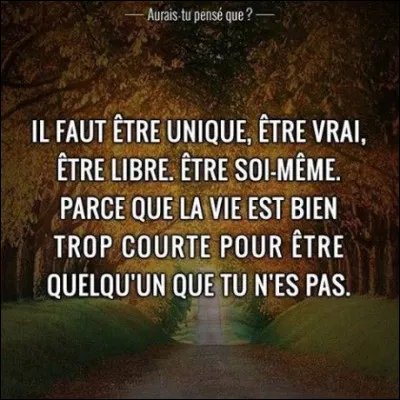 Si juger et la honte n'existaient pas, quel style aurais-tu adopté ? (Part 1)