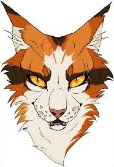 Le chat domestique qui a voulu la sauver s'appelle :