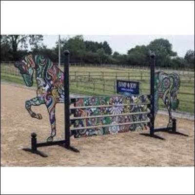 Quel est cet obstacle ?