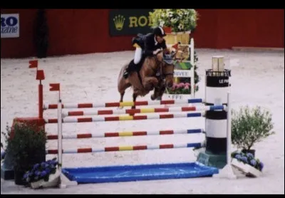 Quel est cet obstacle ?