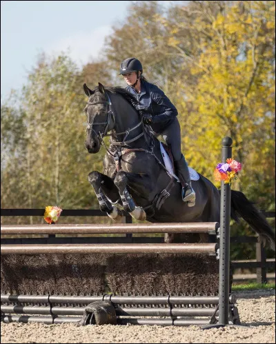 Quel est cet obstacle ?