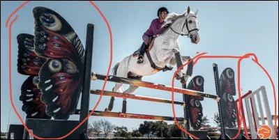 Quest-ce qui est entouré en rouge ?