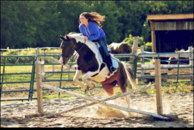 Quel est cet obstacle ?