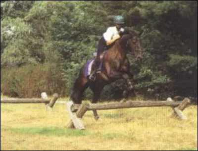 Quel est cet obstacle ?