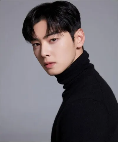 L'acteur sud-cor&eacute;en Cha Eun-woo joue dans quelle s&eacute;rie ?