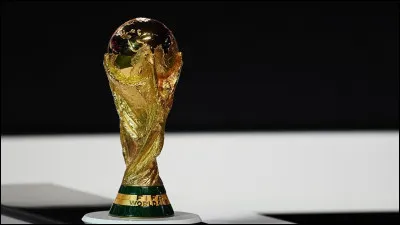 Si je vous montre cette coupe, vous pensez au :