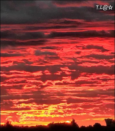 Quel t-shirt pr&eacute;f&egrave;res-tu ?