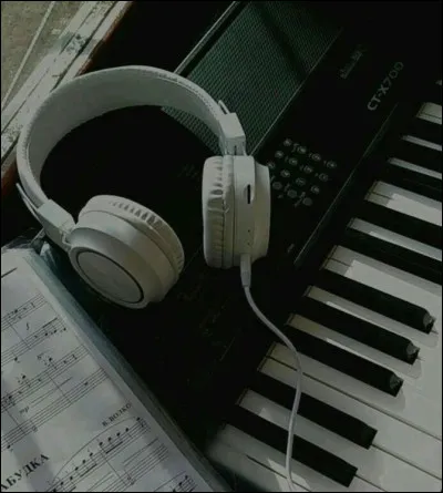 Quel type de musique écoutes-tu le plus souvent ? Si tu n'écoutes aucun genre cité ci-dessous, choisis celui que tu es le plus susceptible d'écouter.