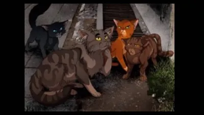 Vrai ou faux ?
Isidore parle le langage des bipèdes.