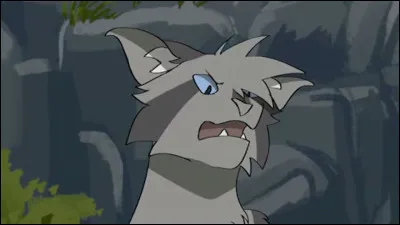 Vrai ou faux ?
Feuille de Houx ne voulait pas tuer Pelage de Granit.