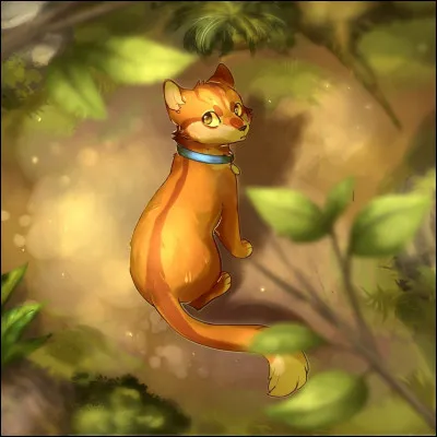 Vrai ou faux ?
Étoile de Feu a des origines de chat domestique.