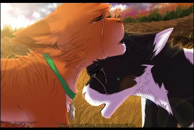 Vrai ou faux ?
Les meilleurs amis de Caramel étaient des chats de clan.