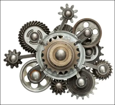 Quel mécanisme est principalement utilisé par les animaux homéothermes pour maintenir leur température corporelle constante ?