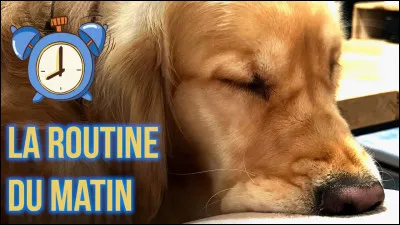 Et pour finir tu préfères :