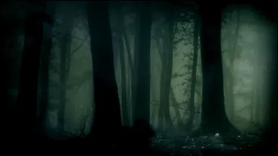 Qui est l'autrice du roman "La Mort dans les Bois" ?