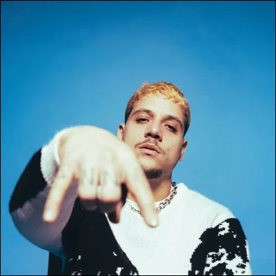 Quel est le style musical de cet artiste ?