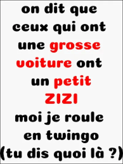 Quel artiste a chanté la chanson ''Le Zizi'' ?
