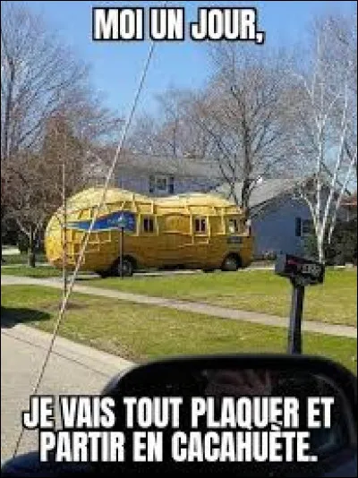 De ces trois artistes cités ci-dessous, lequel a interprété la chanson ''LAmi Caouette'' ?