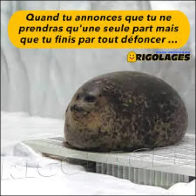 On complique. Quel chanteur a interprété le titre ''La Complainte du phoque en Alaska'' ?