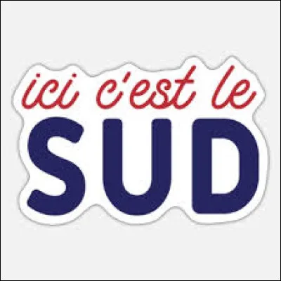 Quel chanteur a chanté le titre ''Le Sud'' ?