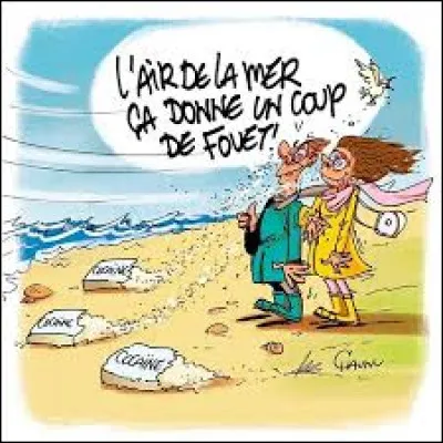 Quel artiste a chanté ''Les Vacances au bord de la mer'' ?