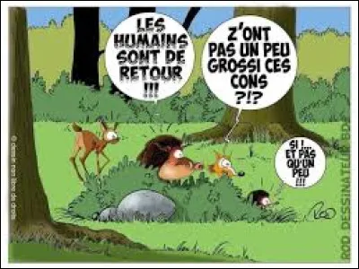 De ces trois artistes cités ci-dessous, lequel a interprété la chanson ''Le chasseur'' ?