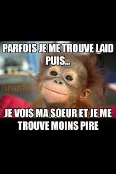 Le groupe Thaï Phong nous interprète ''Sister Jane''. Quel immense artiste est révélé au grand public avec ce titre ?