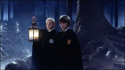 Tu te retrouves dans la forêt interdite, quelle est ta réaction ?