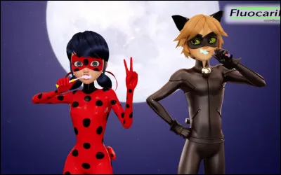 Quelles sont les couleurs de la brosse &agrave; dents de Chat Noir ?