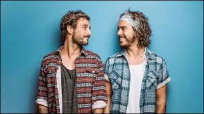 Quel duo a chanté "Ton visage" ?