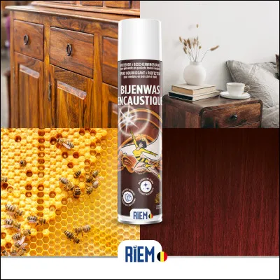 Quel est le genre grammatical du mot encaustique ?