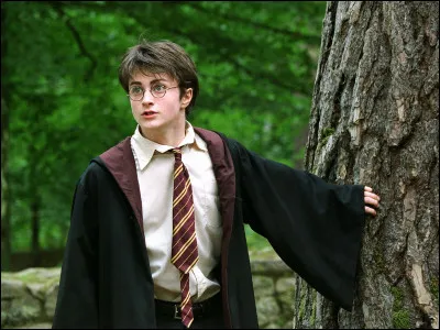 Comment se fait-il que Quirrell ne puisse pas toucher Harry Potter ?