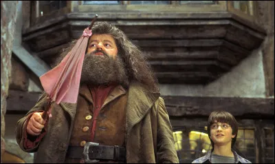 Quel animal offre Hagrid à Harry ?