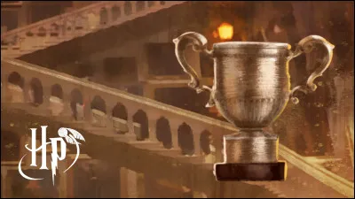 Qui gagne la coupe au final ?