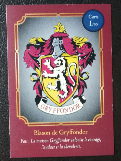 Qui est le directeur de la maison Gryffondor ?