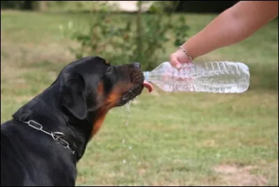 Qui fut le centi&egrave;me acad&eacute;micien fran&ccedil;ais ?